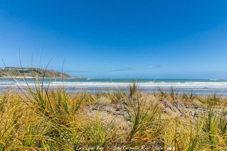 1/102 Lyall Parade Lyall Bay_20