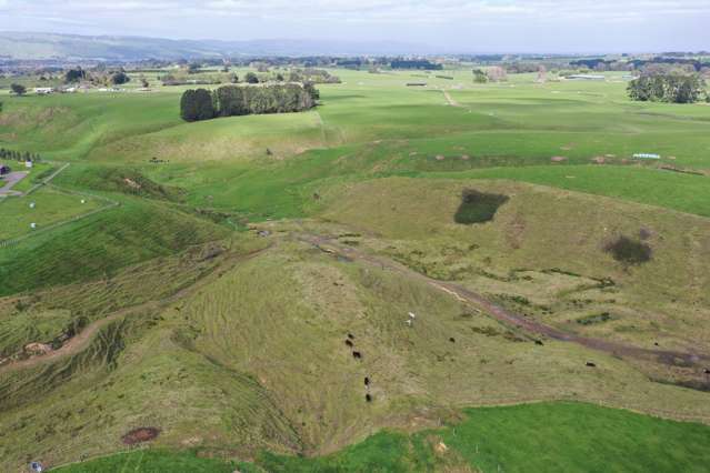 Spur Road Ashhurst_4