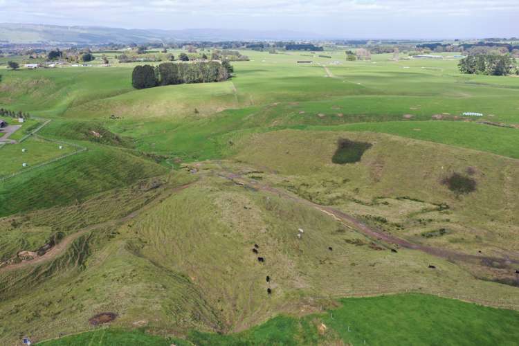 Spur Road Ashhurst_4