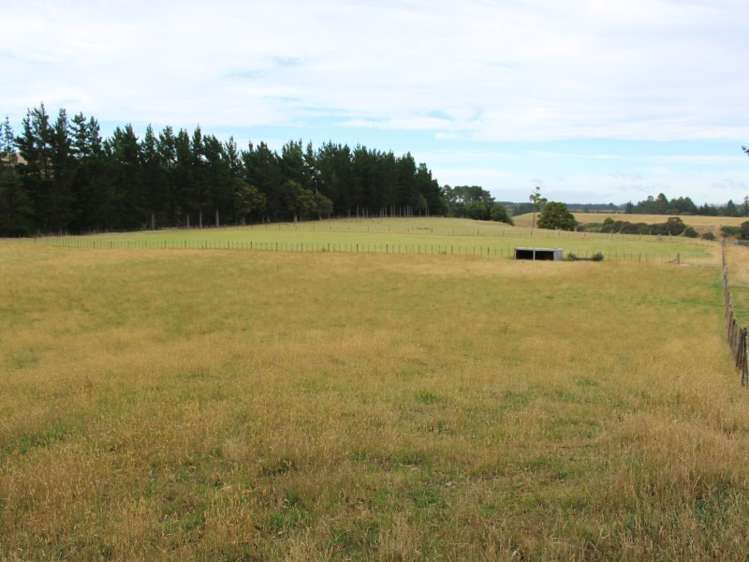 38 Goodeve Road Ormondville_5