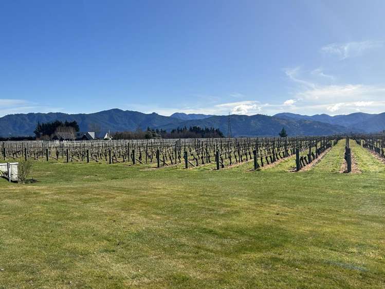 400 Old Renwick Road 1920_2