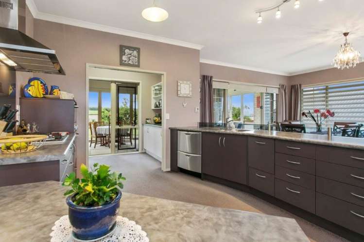 7 Fergusson Grove Morrinsville_1