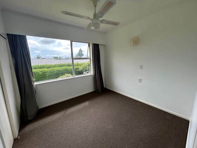 31 Richardson Avenue Pukekohe_3