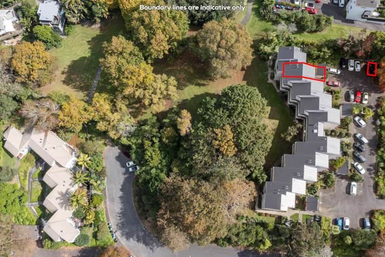 2/116 Wellington Street Freemans Bay_7