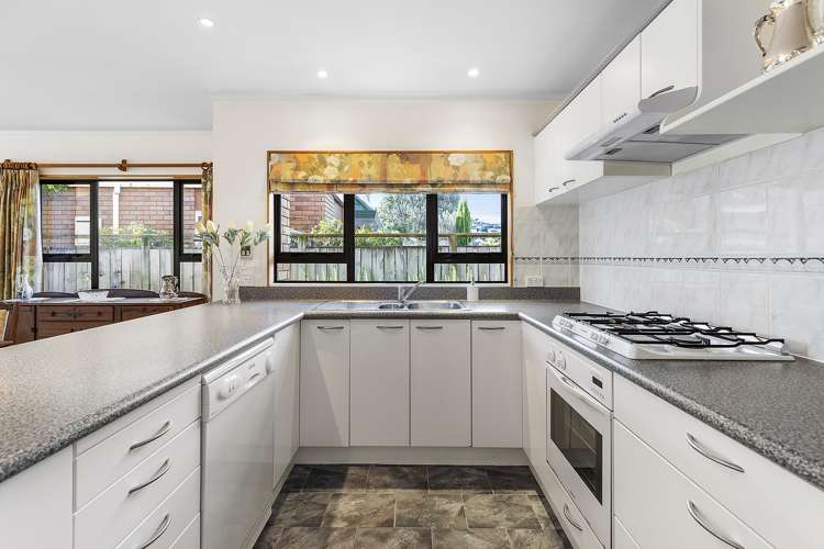 42 Devonshire Road Miramar_8