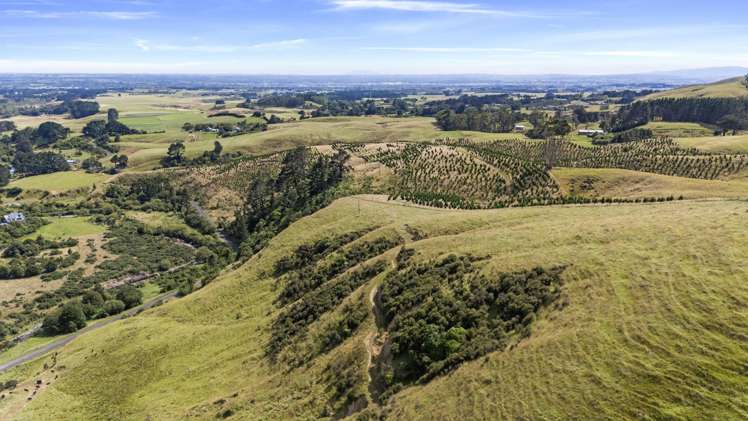 479 Kahuterawa Road Linton_5