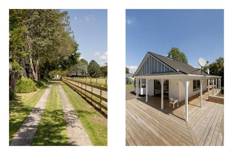 323A Hallett Road Otakiri_20