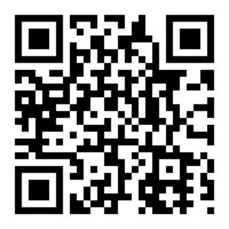 46 Sydney Street Spreydon_14