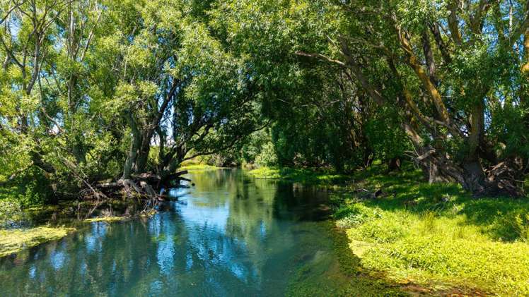 2124 State Highway 1 Spring Creek_30