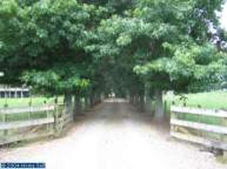 256 Greenhill Road Puketaha_10