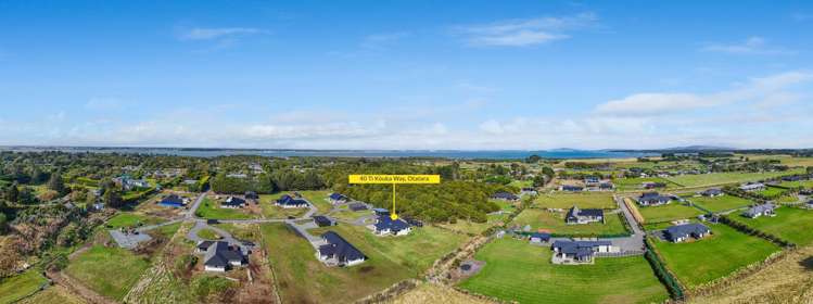 40 Ti Kouka Way Otatara_35