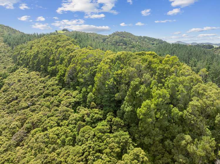 15 Waiparera Road Parua Bay_18