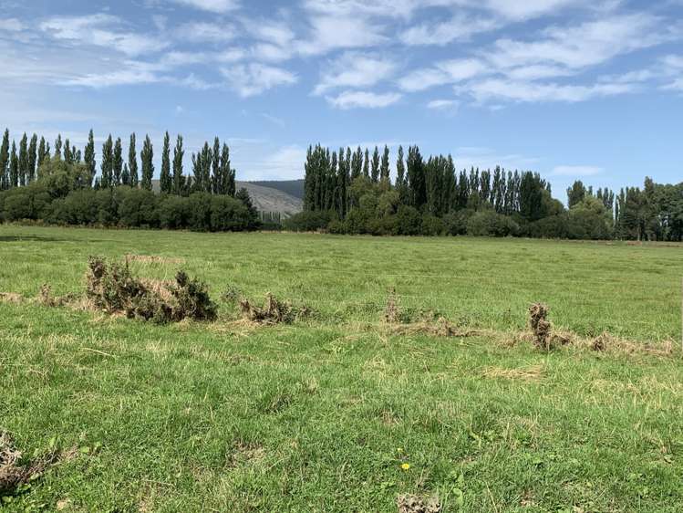 2 Nelson Street Milton_19