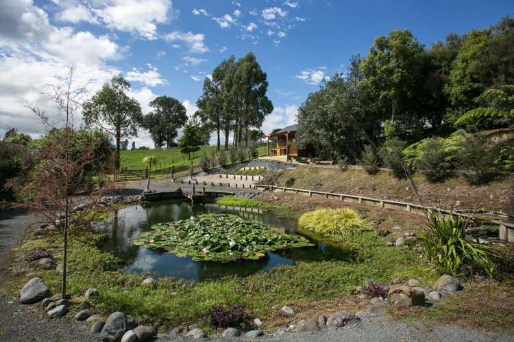 296b Pickering Road Tamahere_16