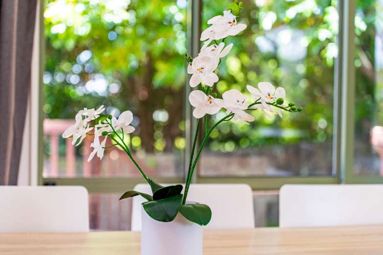 4A Waitomo Avenue Mount Eden_13