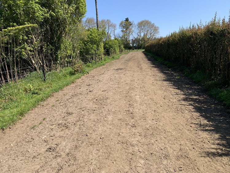 2442 Mountain Road Tariki_21