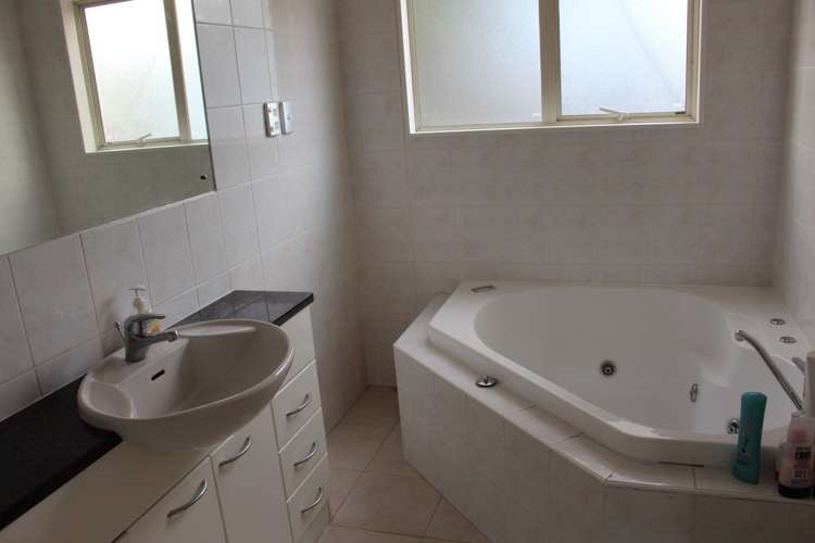 86 Balmain Road Chatswood_4