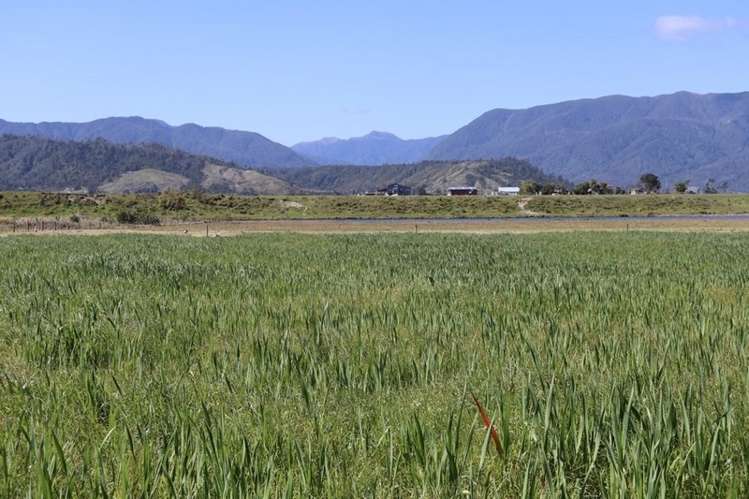 North Karamea Road Karamea_0