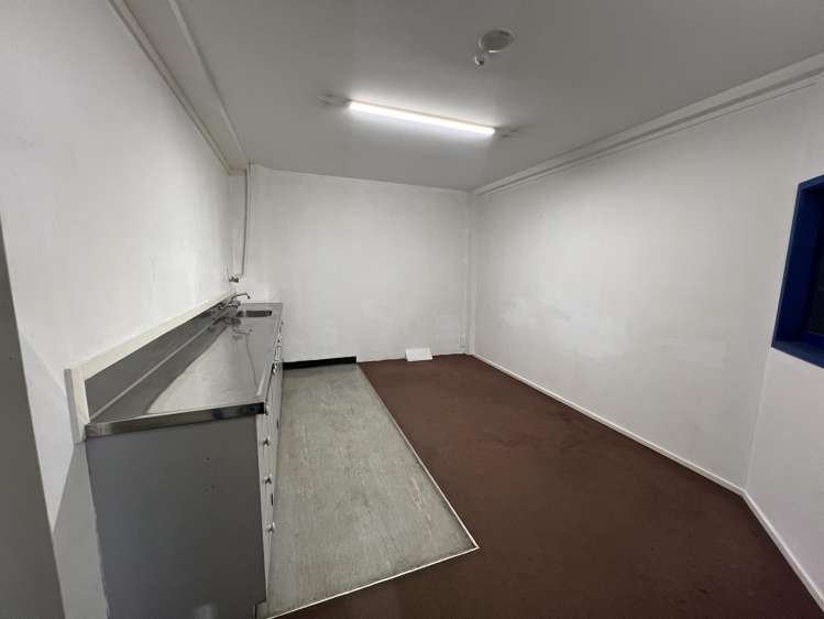 25 Home Street Mt Victoria_5