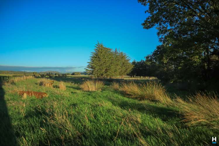 829 Nelson Creek Road Hochstetter_29