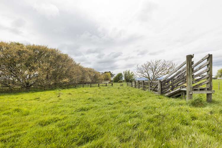 422 Milson Line Milson_6