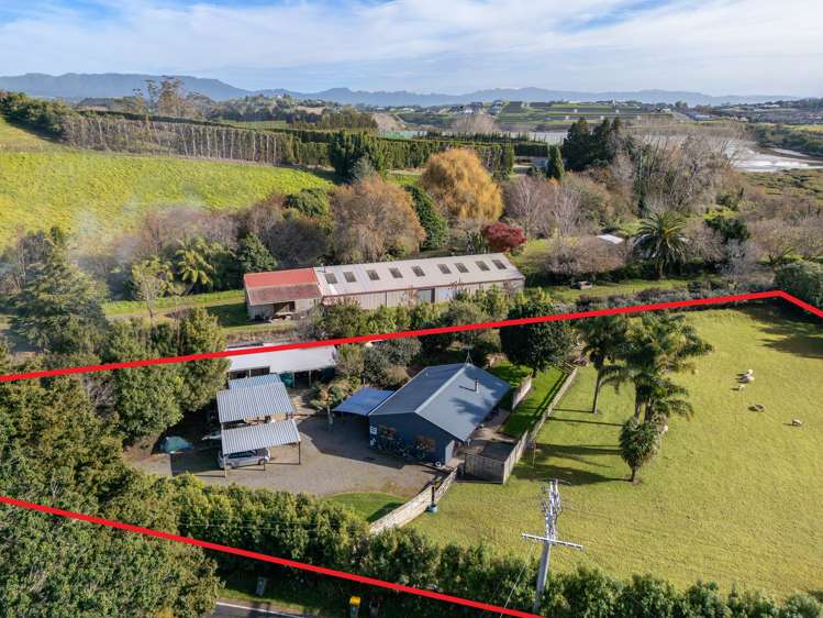 249 Plummers Point Road Whakamarama_17