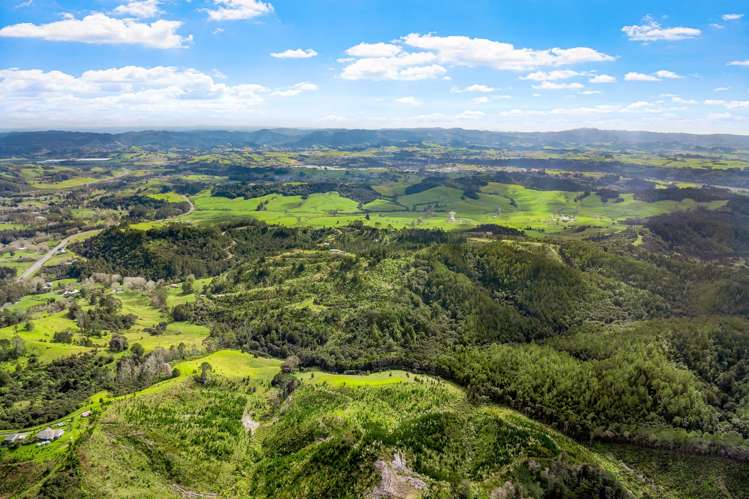 Lot 3 Radiata Road Warkworth_7