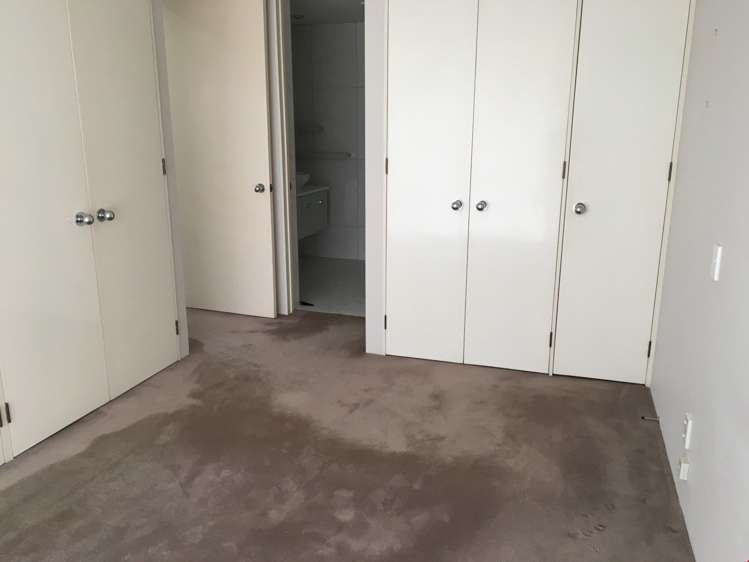 9b Taranaki Road Kohimarama_7