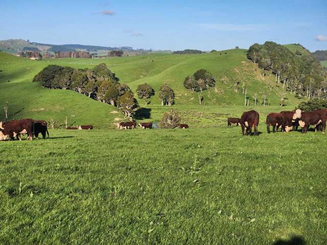 899 Te Akau Road Te Akau_2