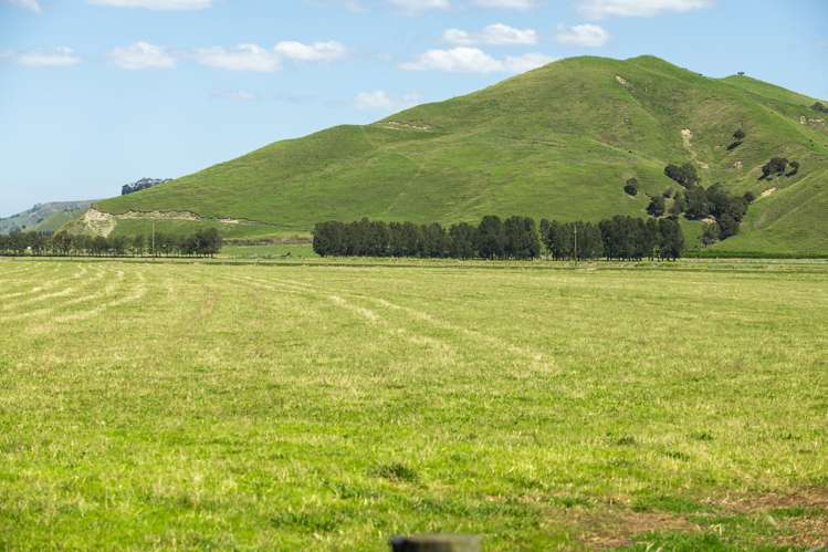 1343 Wharerata Road Muriwai_7