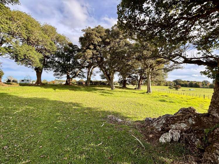 377 Waikaramu Road Waimate North_23