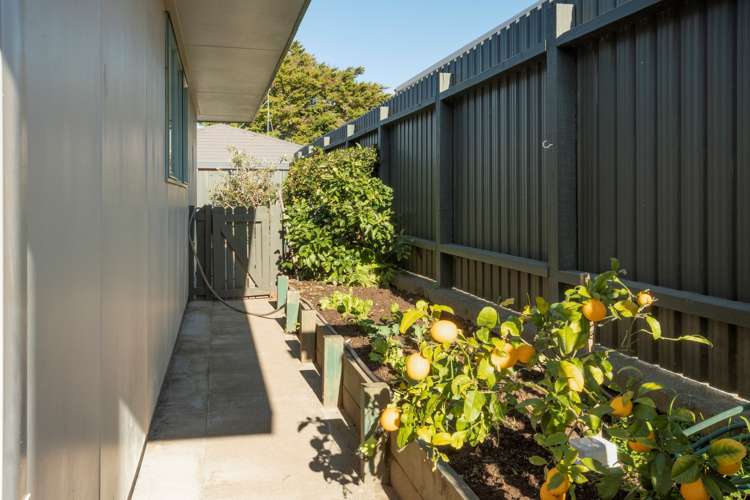 59b Mansels Road Greerton_13