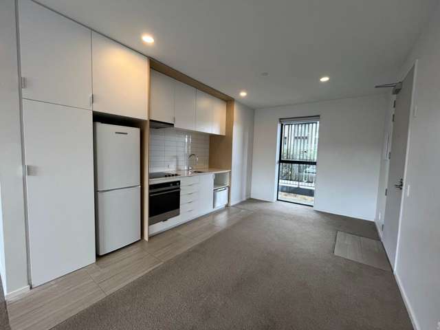 103/3 Bluegrey Avenue Stonefields_2