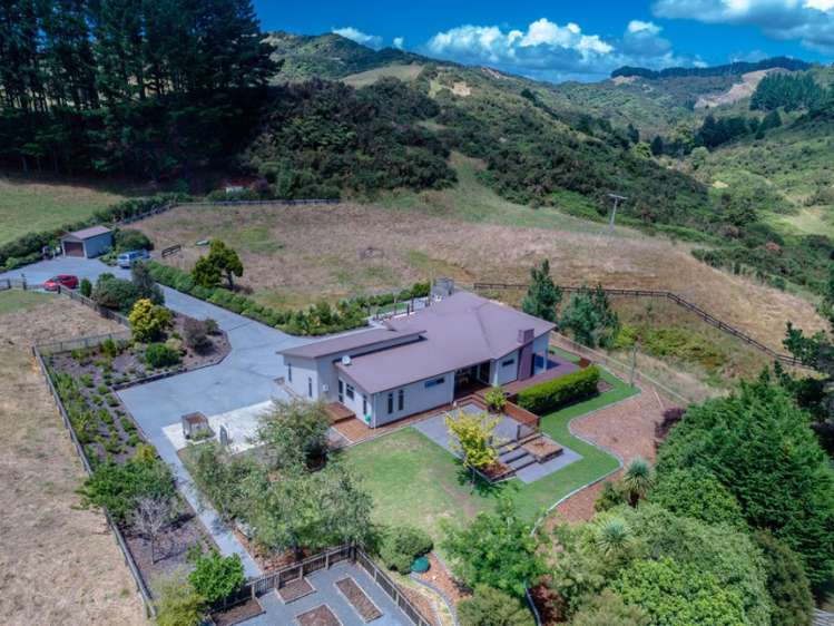 881 Old Mountain Road Raglan_4