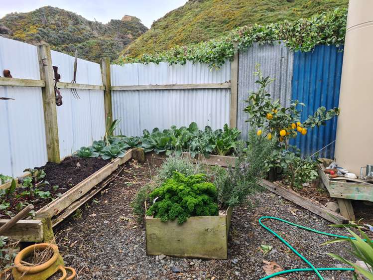 1596 Cape Palliser Road Cape Palliser_13