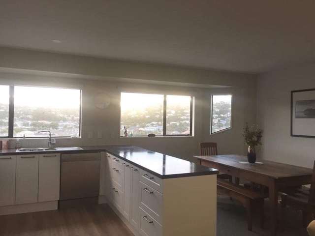 50b Maupuia Road Miramar_3