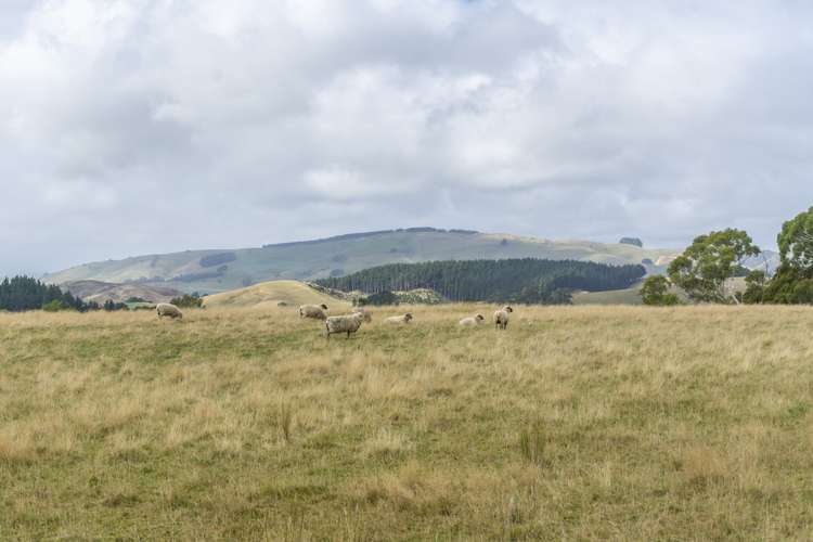 287 West Road Mauriceville_22