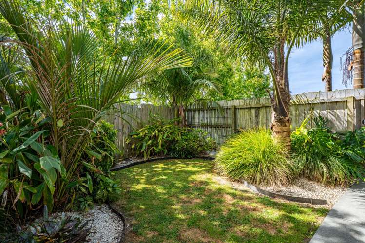 64 Jack Boyd Drive Mangawhai Heads_22