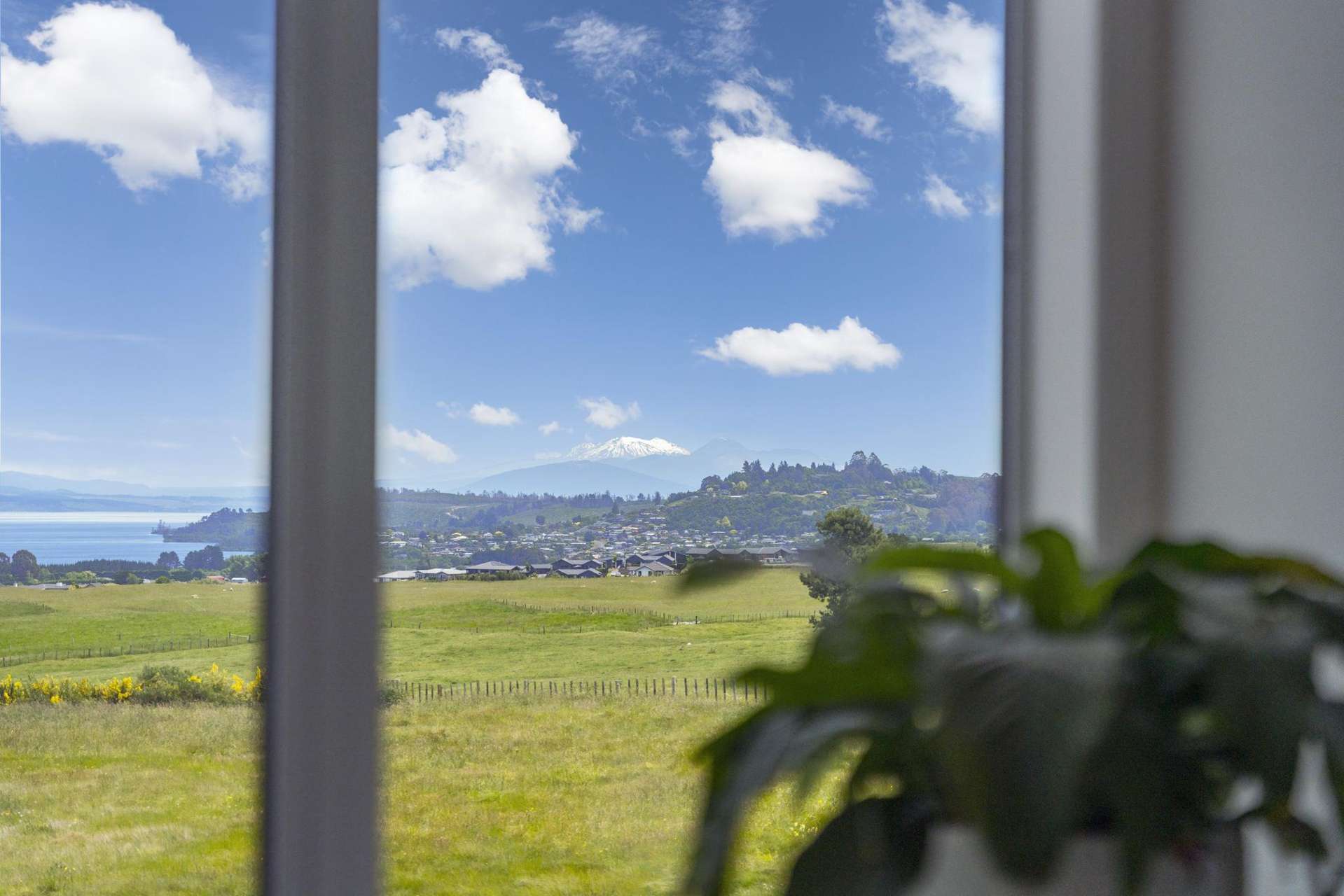 25 Walnut Lane Nukuhau_0