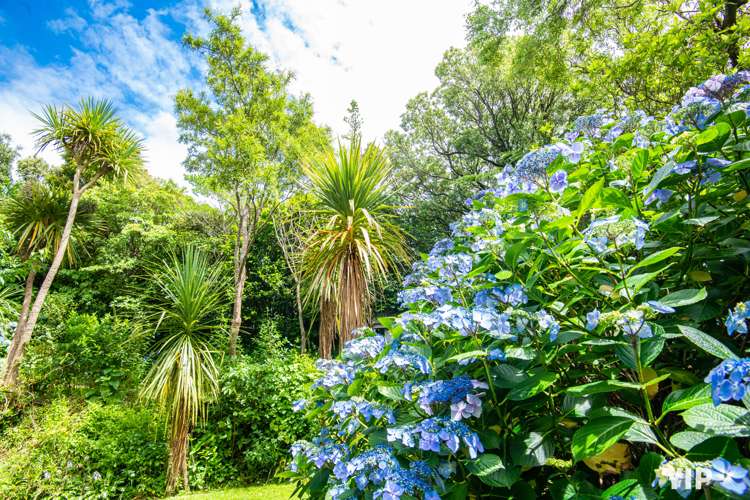 51 Tarawera Road Johnsonville_18