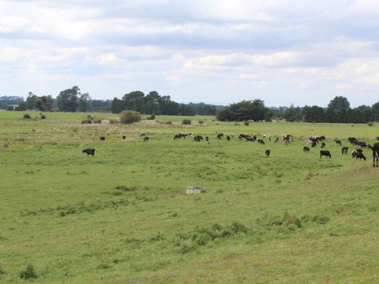 268 Ngamoko Road Norsewood_18