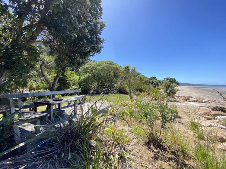 3 Totara Avenue Collingwood_9