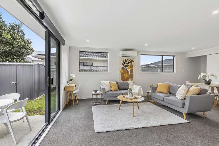 103B Hobart Street Miramar_11