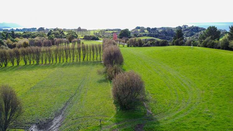 915 Takaka-Collingwood Highway Puramahoi_8