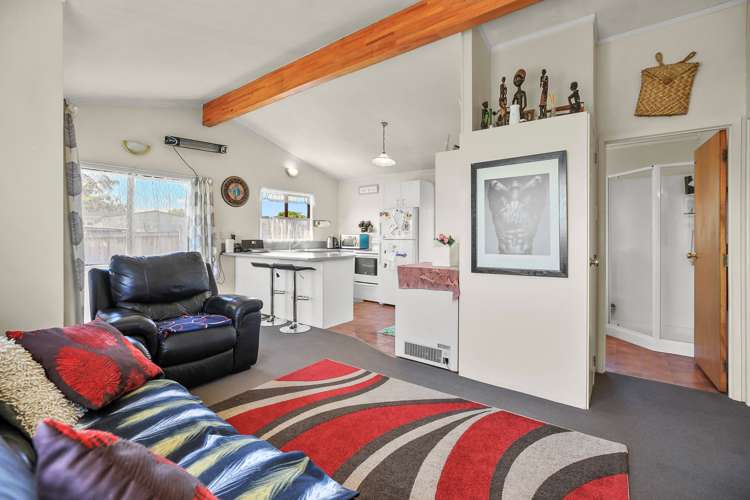 1/463 Mangapiko Street Te Awamutu_38
