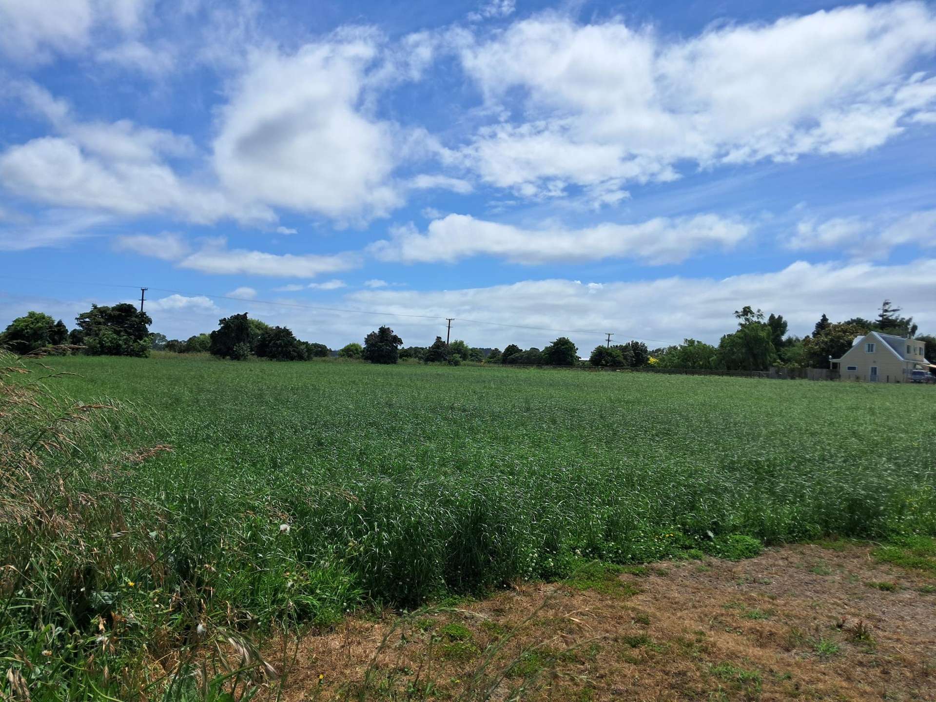 118 Durie Road Aorangi_0