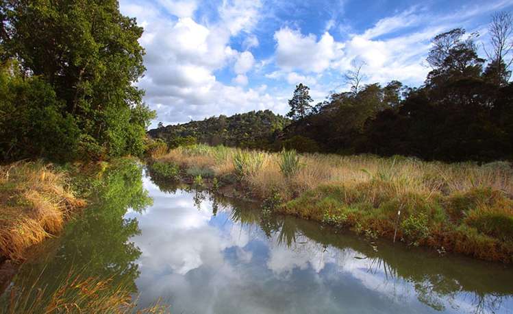 23 Ivy Place Birkdale_19