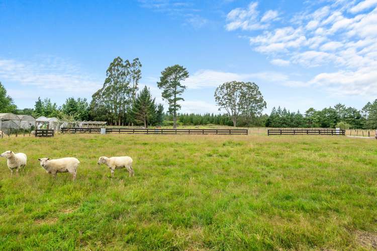 36 Dumfries Road Tokoroa_20