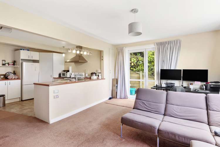 55 Bedford Street Northland_10