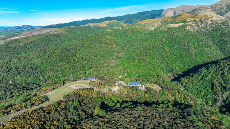 439 Engelbrechts Road Hunter_50